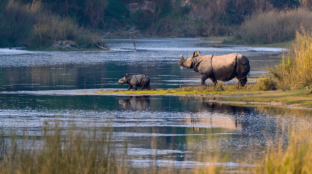 Everest Base Camp Trek