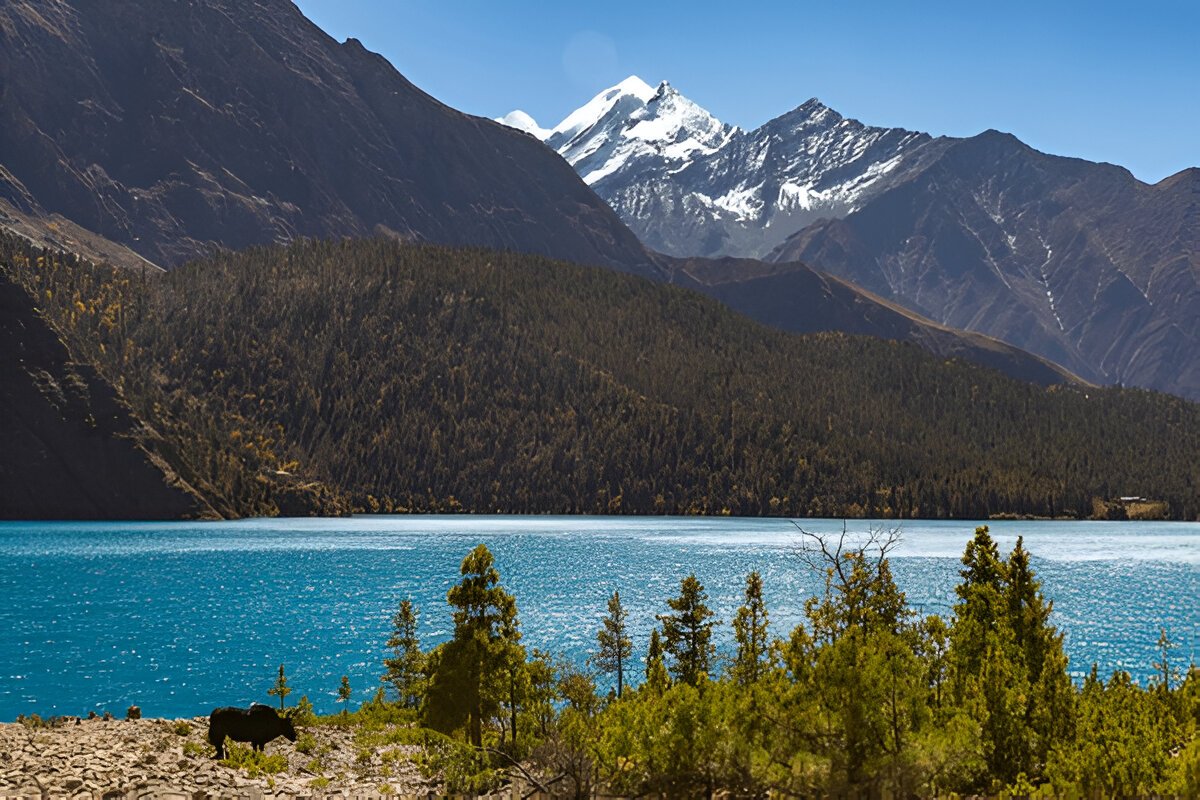 Everest Base Camp Trek